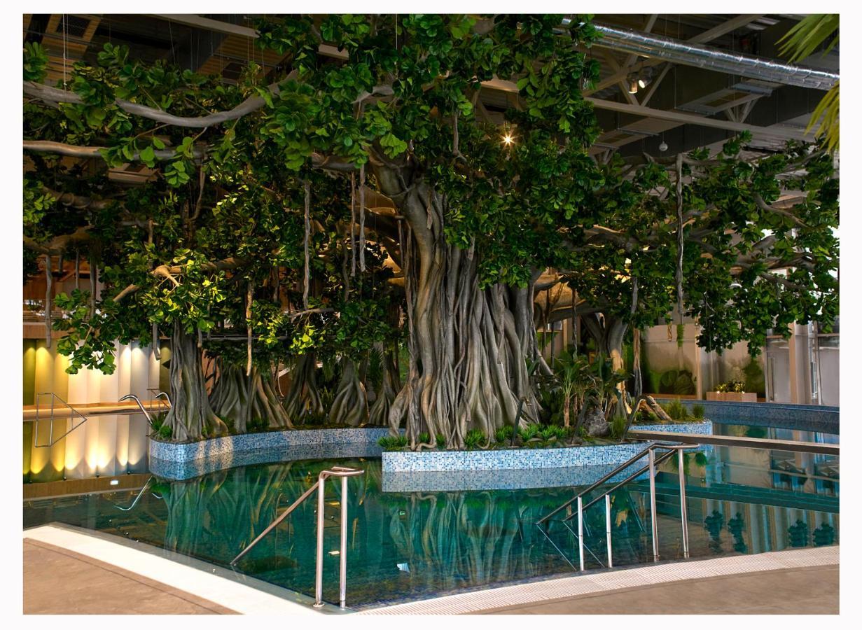 Amazonia Apartments Timişoara Eksteriør billede