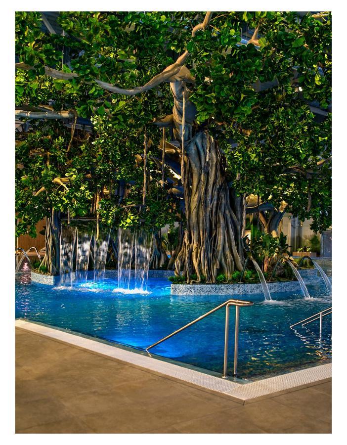 Amazonia Apartments Timişoara Eksteriør billede